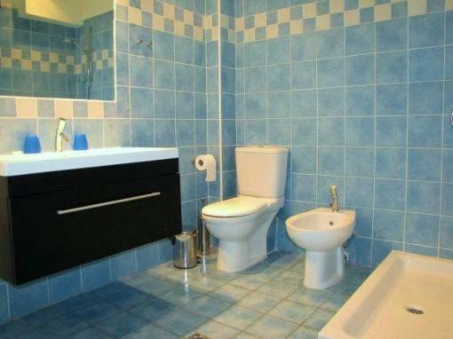 Casa Nostos Apartment วาซีลีกี ภายนอก รูปภาพ